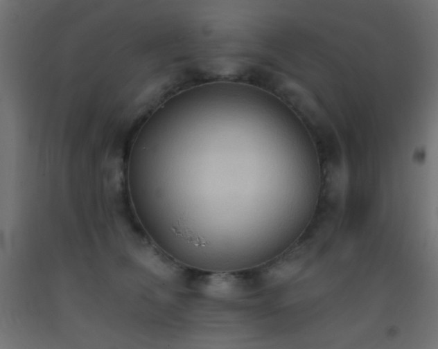 X0000093380612200710111457