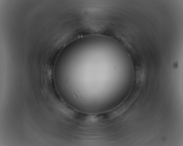 X0000093380613200710111457