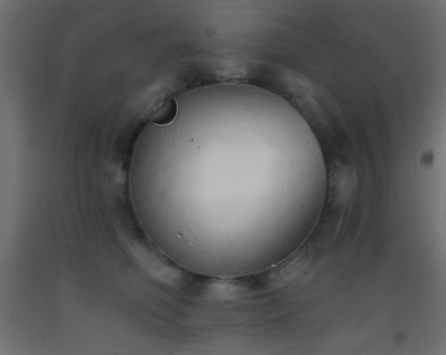 X0000093380614200710111457