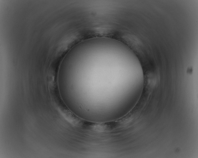 X0000093380615200710111457