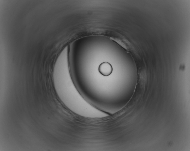 X0000093380617200710111457