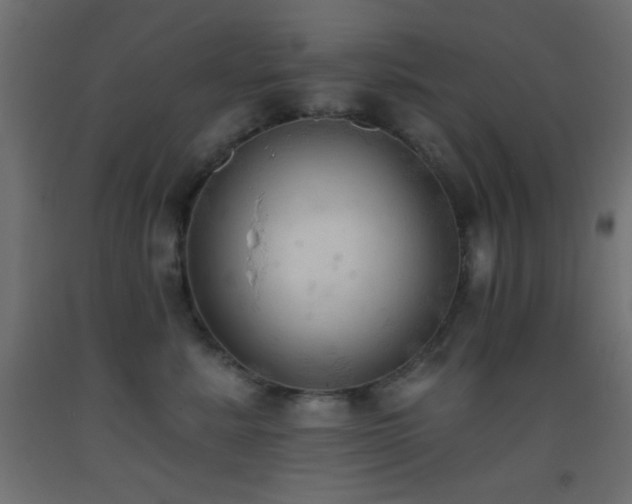X0000093380619200710111457