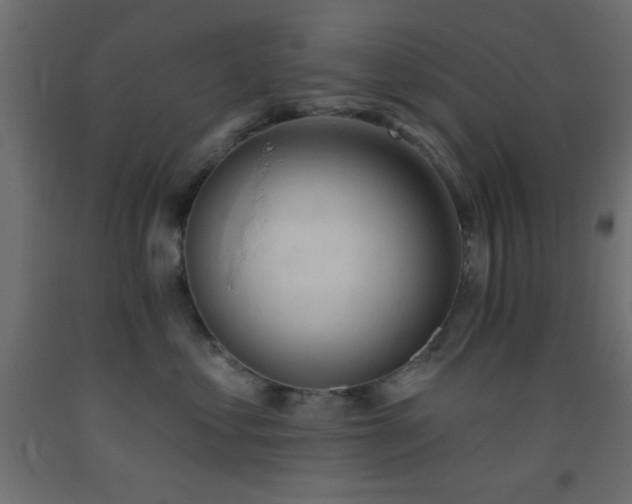 X0000093380621200710111457
