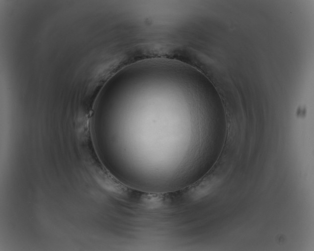 X0000093380624200710111457