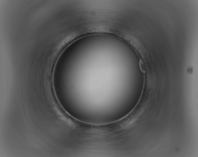 X0000093380625200710111456