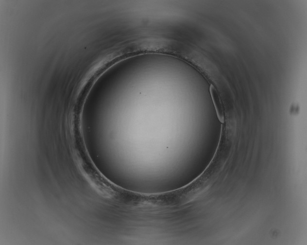X0000093380626200710111456
