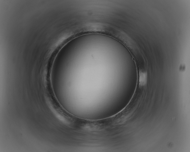 X0000093380627200710111456