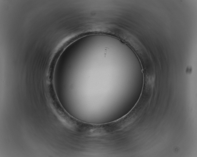 X0000093380628200710111456