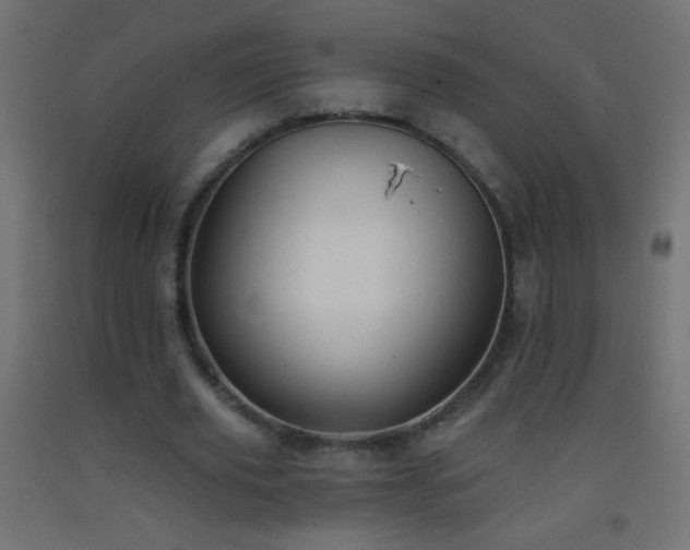 X0000093380629200710111456