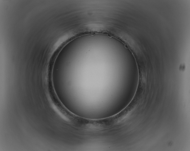 X0000093380630200710111456