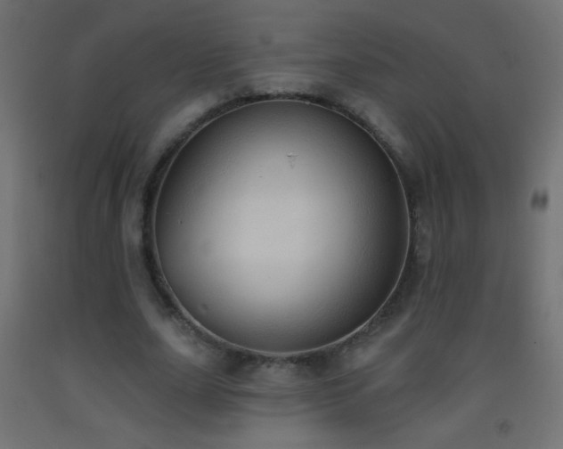 X0000093380631200710111456