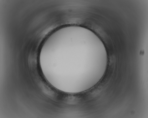 X0000093380632200710111456
