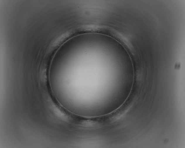 X0000093380633200710111456