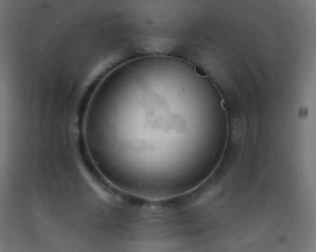 X0000093380634200710111456
