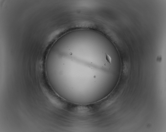 X0000093380636200710111456