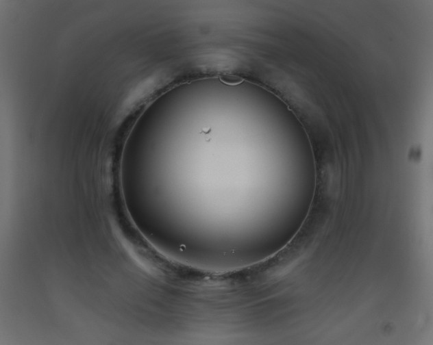 X0000093380638200710111456