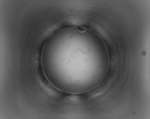 X0000093380639200710111456