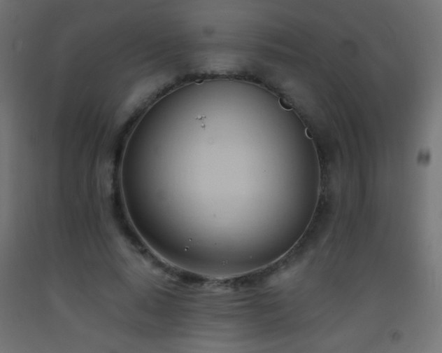 X0000093380640200710111456