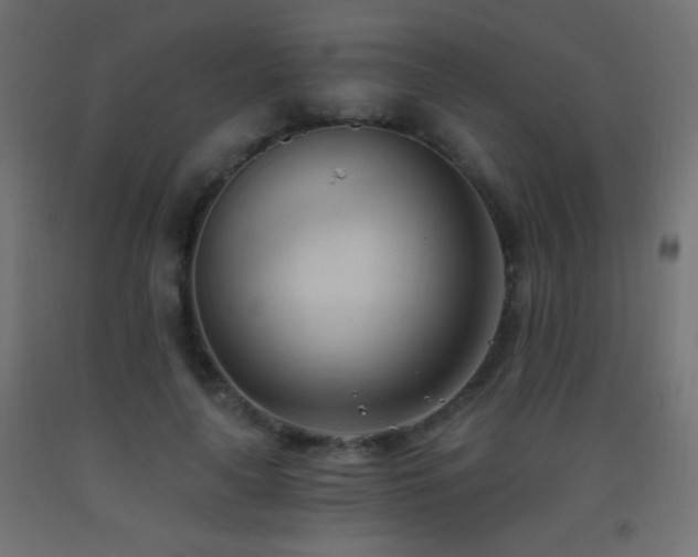 X0000093380643200710111456
