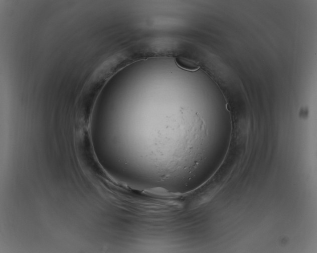 X0000093380644200710111456