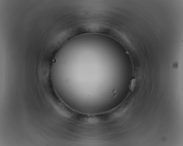 X0000093380645200710111456