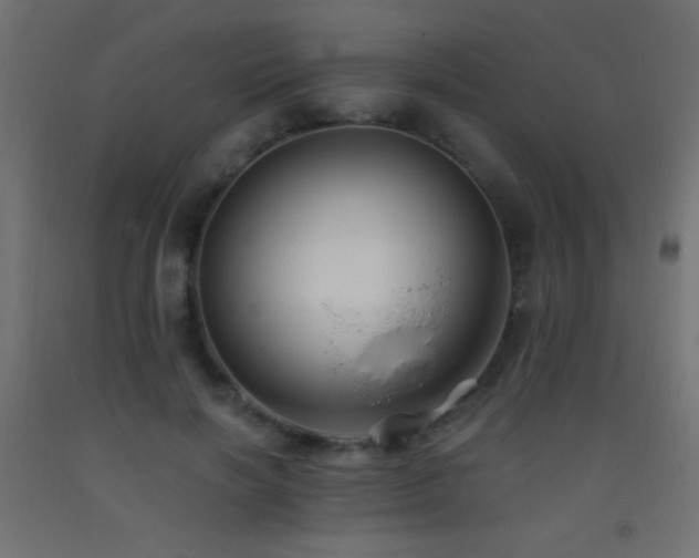 X0000093380646200710111456