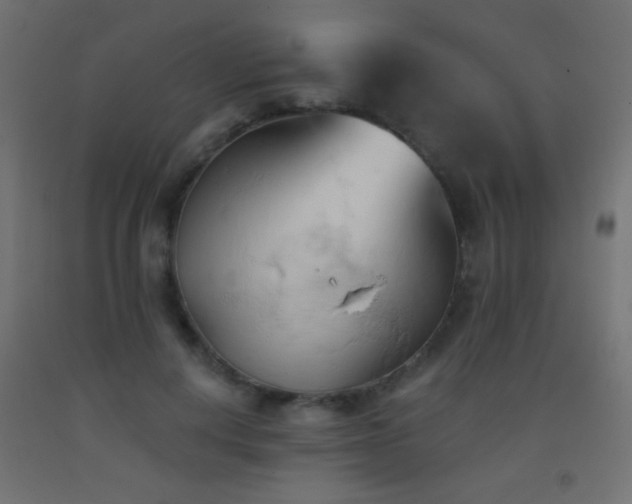 X0000093380648200710111456