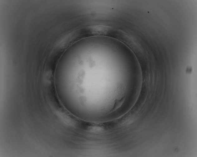 X0000093380649200710111456