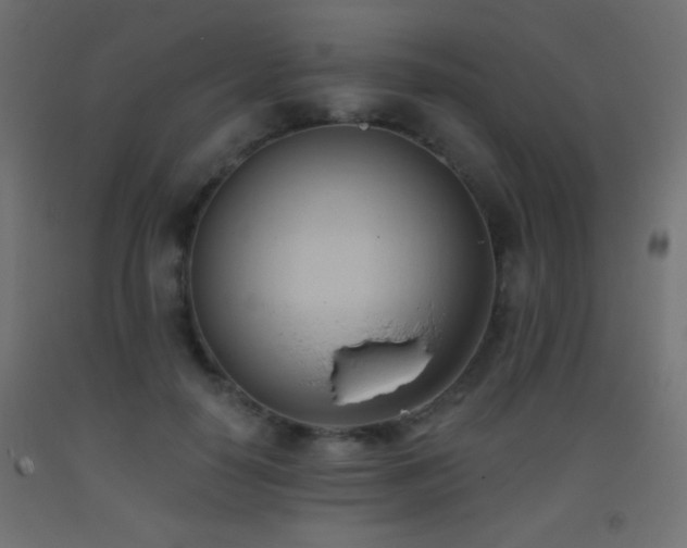 X0000093380650200710111456