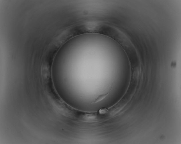 X0000093380651200710111456