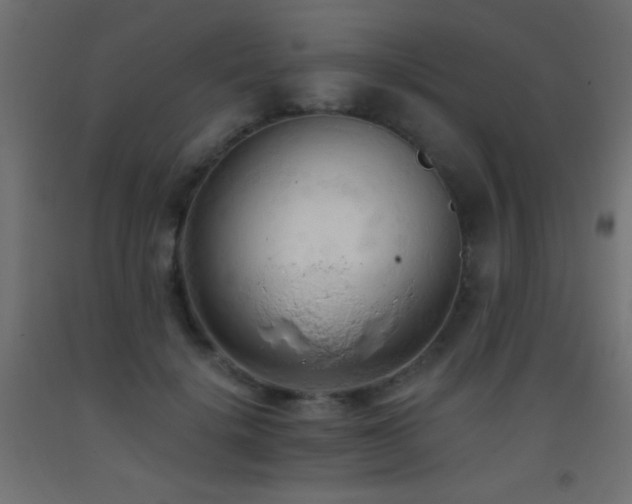 X0000093380652200710111456