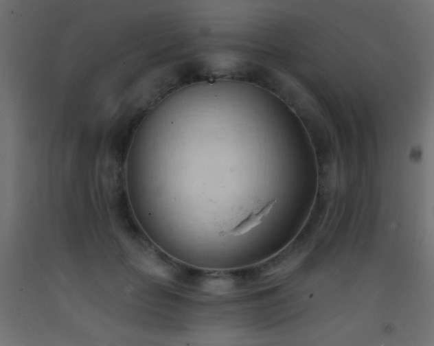 X0000093380653200710111456