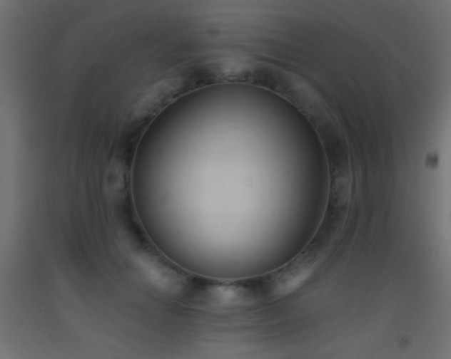 X0000093380654200710111456