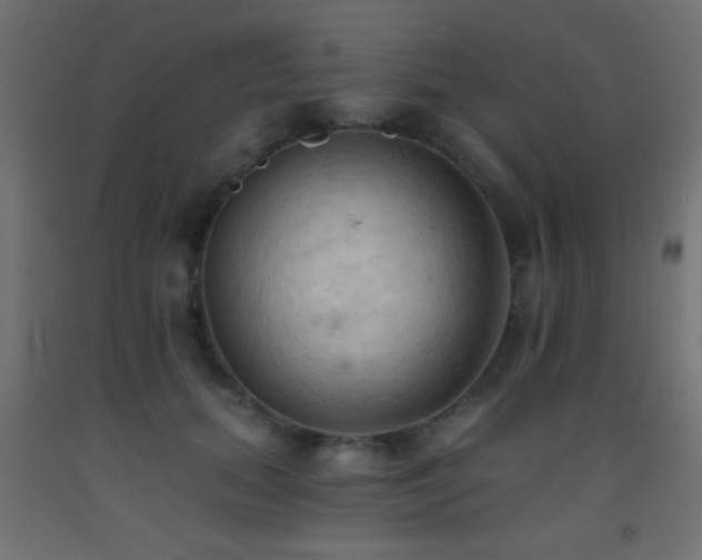 X0000093380655200710111456