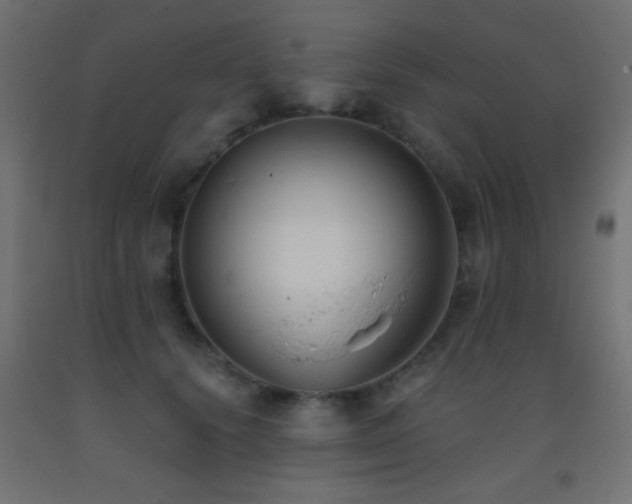 X0000093380656200710111456