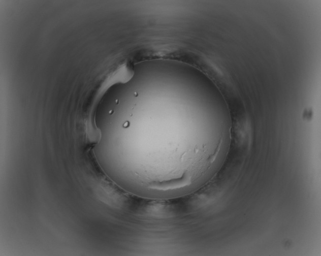 X0000093380657200710111456