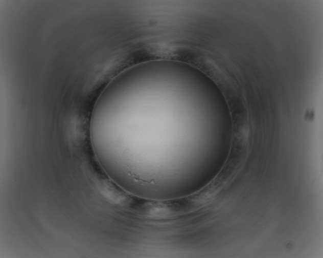 X0000093380658200710111456