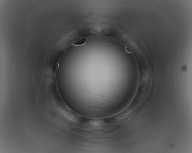 X0000093380659200710111456