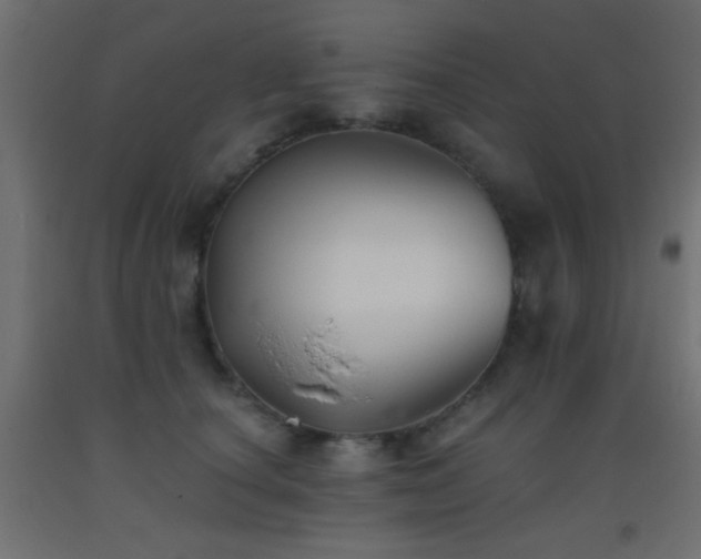 X0000093380660200710111456