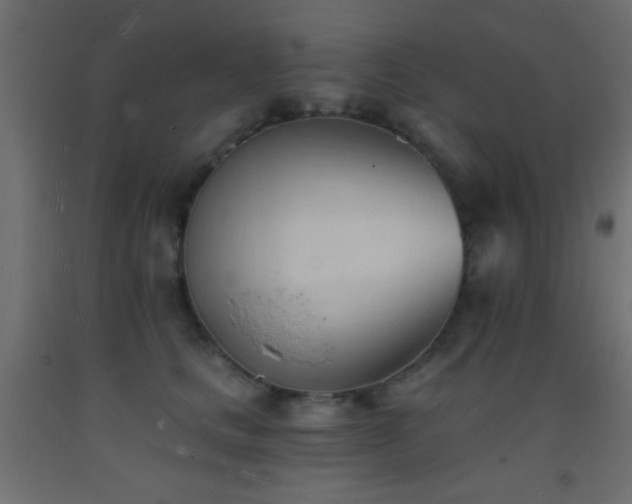 X0000093380661200710111457