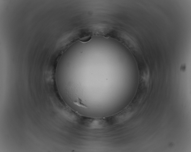 X0000093380663200710111457