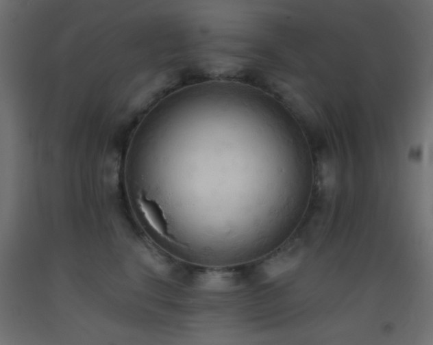 X0000093380664200710111457
