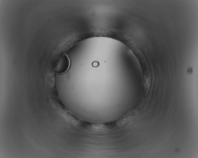 X0000093380666200710111457