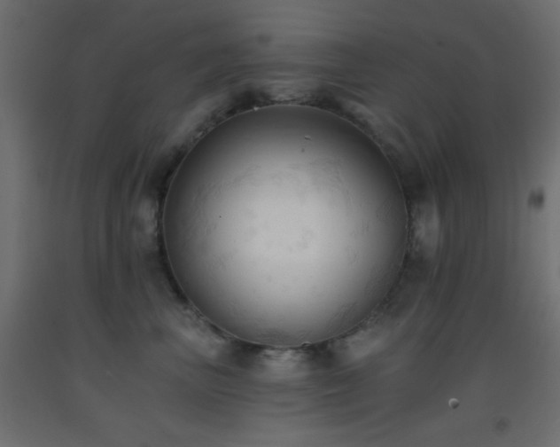 X0000093380667200710111457