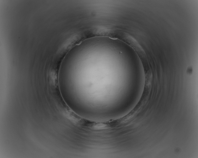 X0000093380669200710111457