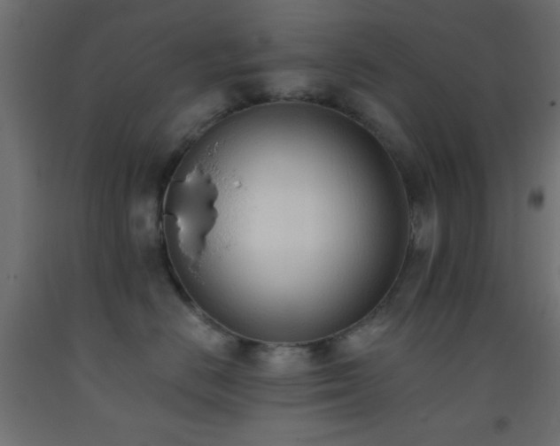 X0000093380670200710111457