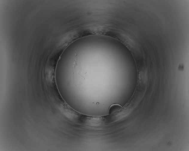 X0000093380671200710111457