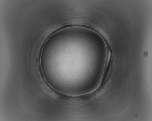 X0000093380673200710111456