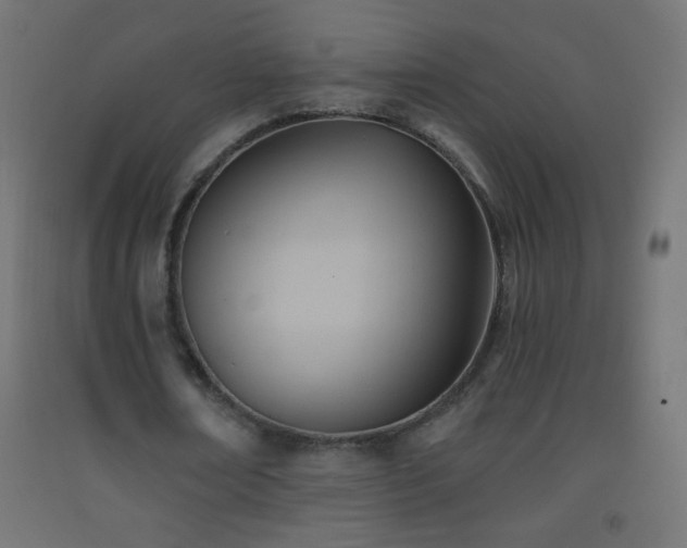 X0000093380674200710111456