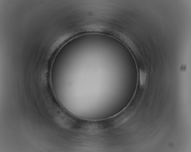 X0000093380675200710111456